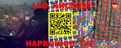 ПСИЛОЦИБИНОВЫЕ ГРИБЫ Кингисепп
