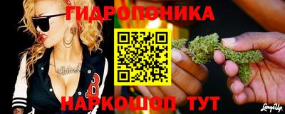 ПСИЛОЦИБИНОВЫЕ ГРИБЫ Кингисепп